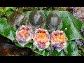 Cooking Soft Shell Turtle Soup Recipe - Curry shell turtle soup eating delicious
