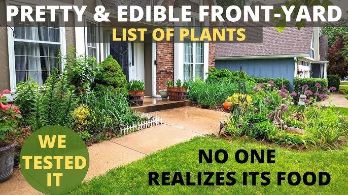 How to Integrate Flower Beds into Your Lawn: Expert Tips