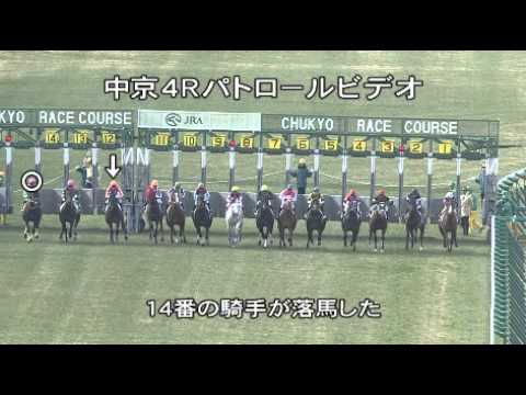 2014年1月26日（日） 中京4R 障害4歳以上未勝利 パトロールビデオ