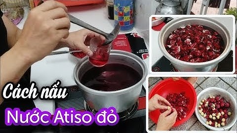 Duy Thái | Cách Nấu Nước Atiso Đỏ Uống Giúp Lợi Tiểu, Mát Gan, Đẹp Da