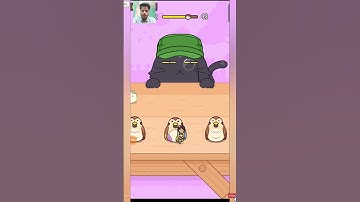 Hide and Seek Cat Escape Gameplay level 42 #shorts #gaming #hideandseek #hideandseekcatescape