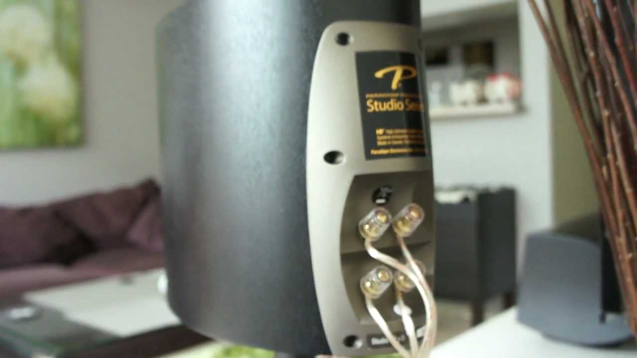 paradigm studio 10 v5