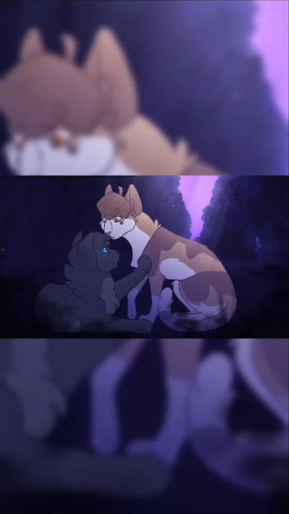 Legends never die || Cinderpelt edit (#cinderpelt #edit) Warrior Cats