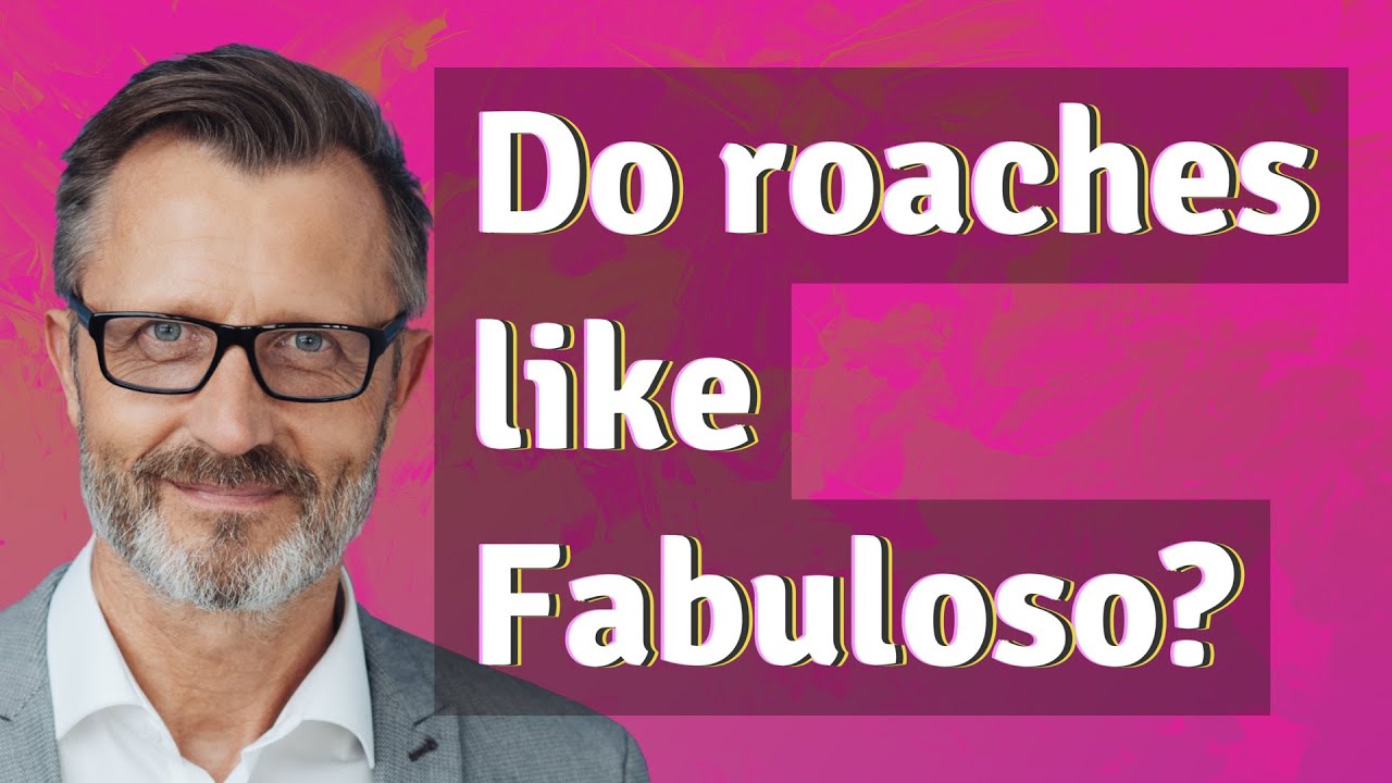 Do roaches like Fabuloso? - YouTube