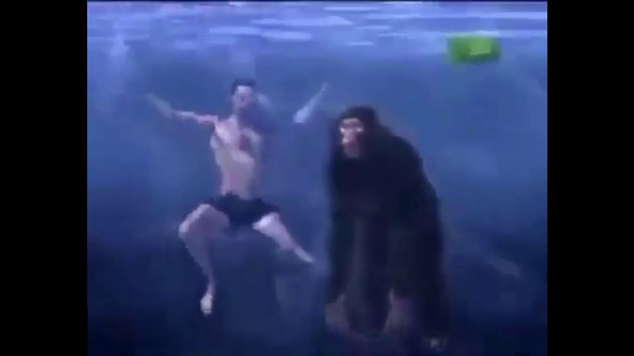 In Water Chimps Will Drown Taco Bell Meme Youtube