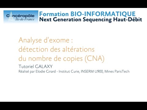 Vidéo: Analyse Des Changements Du Nombre De Copies De Gènes Dans La Phylogénétique Tumorale