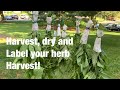 Don’t be confused with your dried herb harvest!