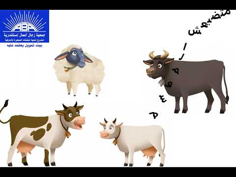 مع تمويل جمعية رجال أعمال أسكندرية الموسم مش هيضيع