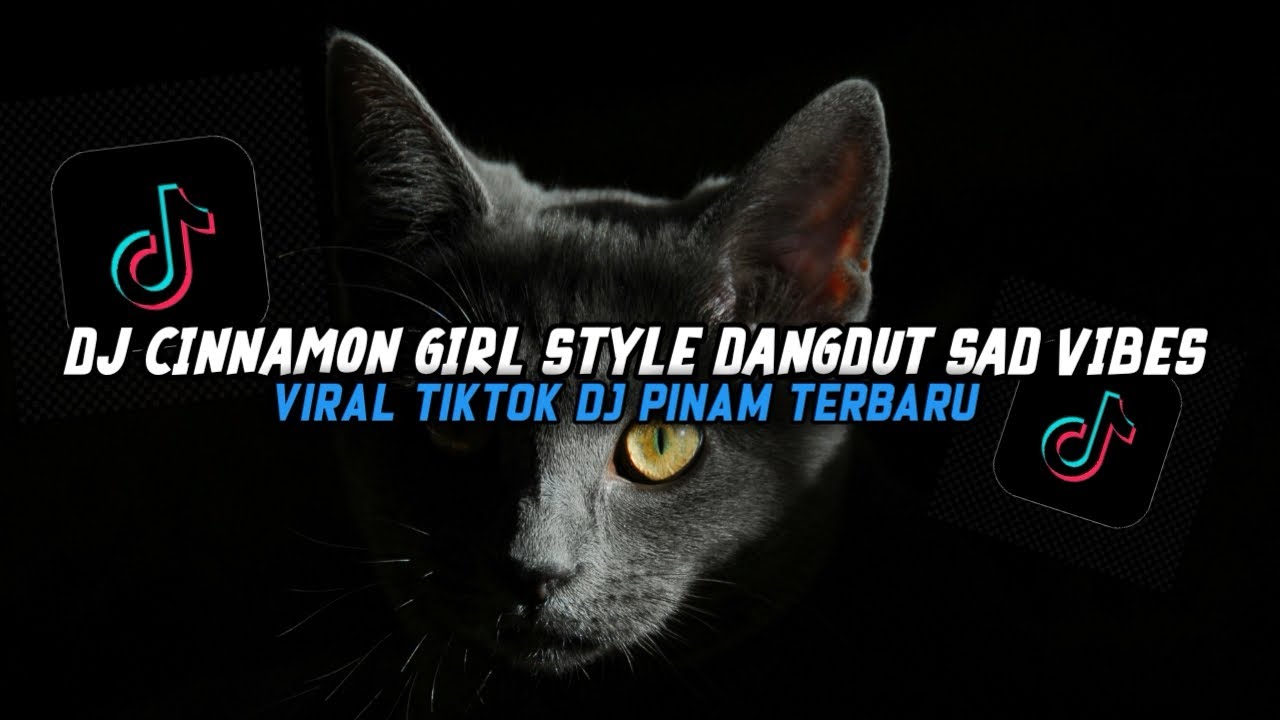 DJ CINNAMON GIRL STYLE DANGDUT VIRAL TIKTOK DJ PINAM🔥