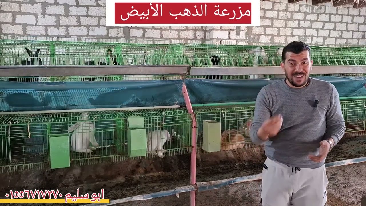 بخصوص الاسهالات المنتشره في الارانب في الفتره الحاليه والعلاج والوقايه منها