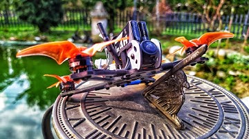 Tinyhawk 2 freestyle DVR