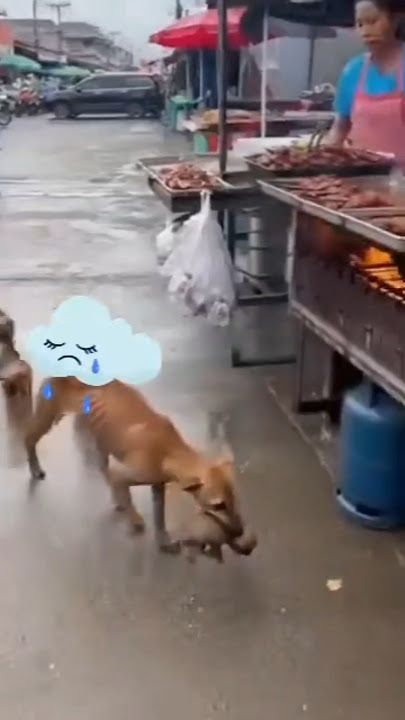 Download lagu hasiuntu kelo bailla darmana madiraiy a wow wow very very interesting video