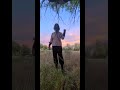 Reynolds Wild West Wonder Episode 11: The Singing Hills