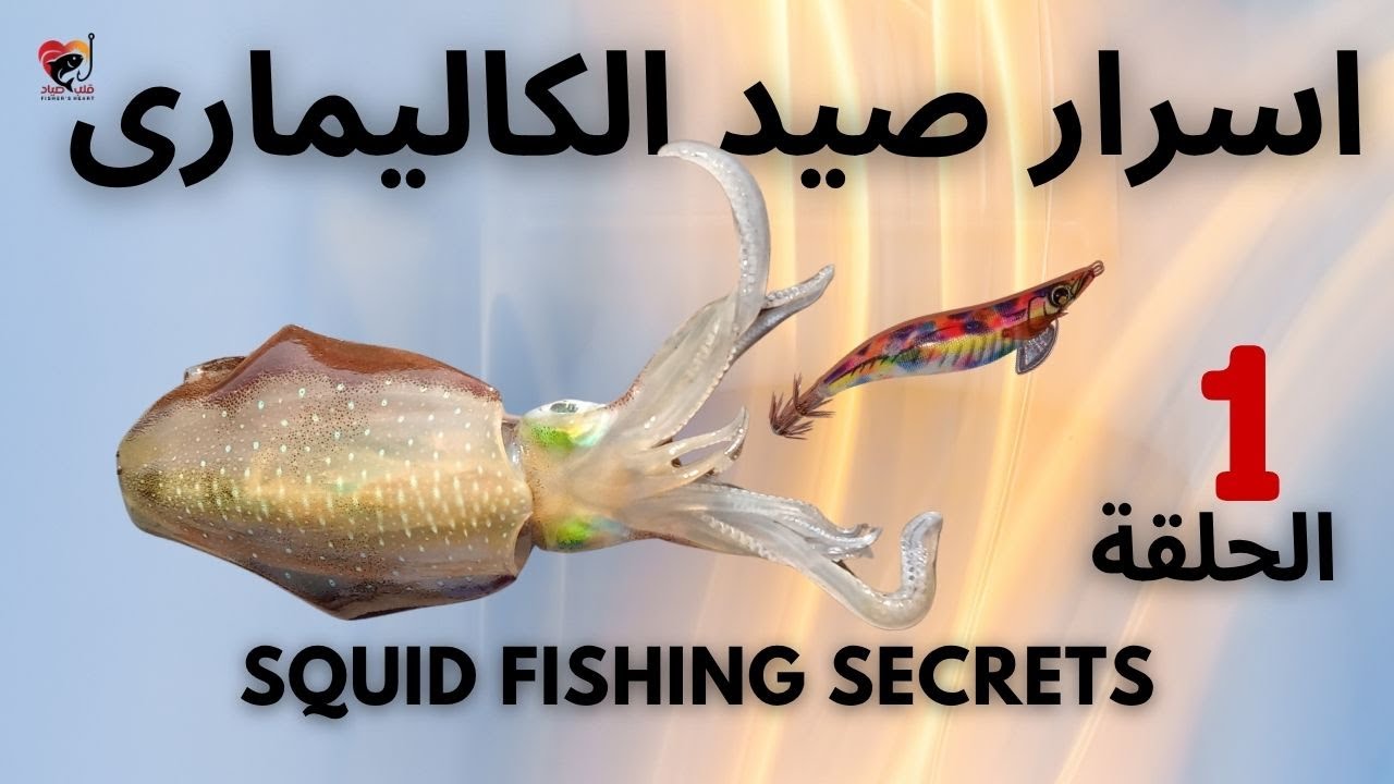 7 أسرار ذهبية لصيد الكاليماري | Squid Fishing Secrets