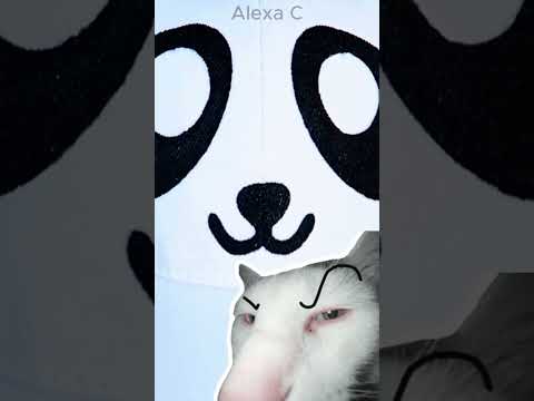 😭 No debía hacer esto con la gorra de mi hermana… 😳 #Shorts #funny #Manualidades