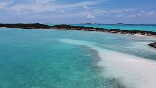 RED SHANKS, GREAT EXUMA IN THE BAHAMAS | IRIE CAT