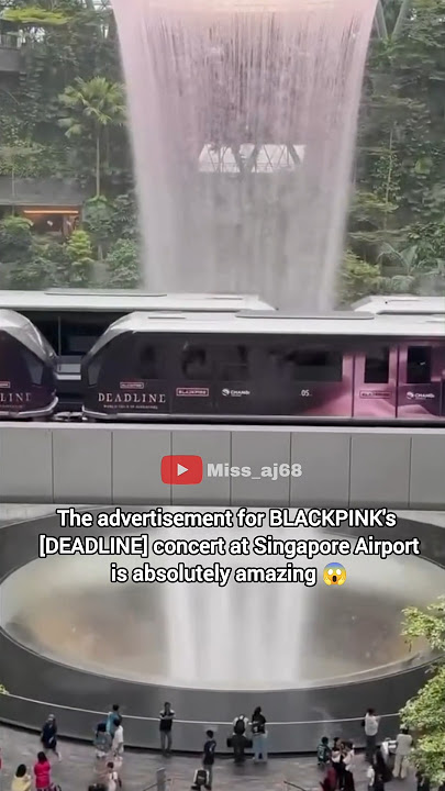 Blinks are really on next level 😱🤯 #blackpink #fypviralシ #ytshorts #blink #kpopidol @BLACKPINK