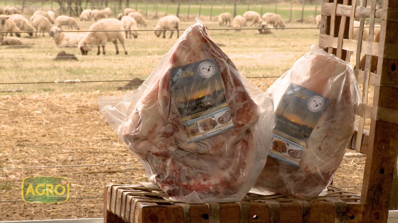 Ruca Hueney: 18 mil kilos de carne de cordero en 9 hectáreas (#893 2020-09-12)
