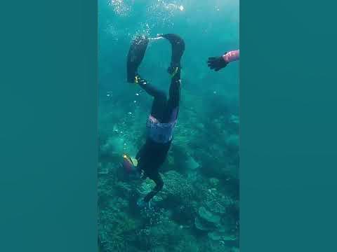 Snorkeling di Samalona #shorts #wisataindonesia - YouTube