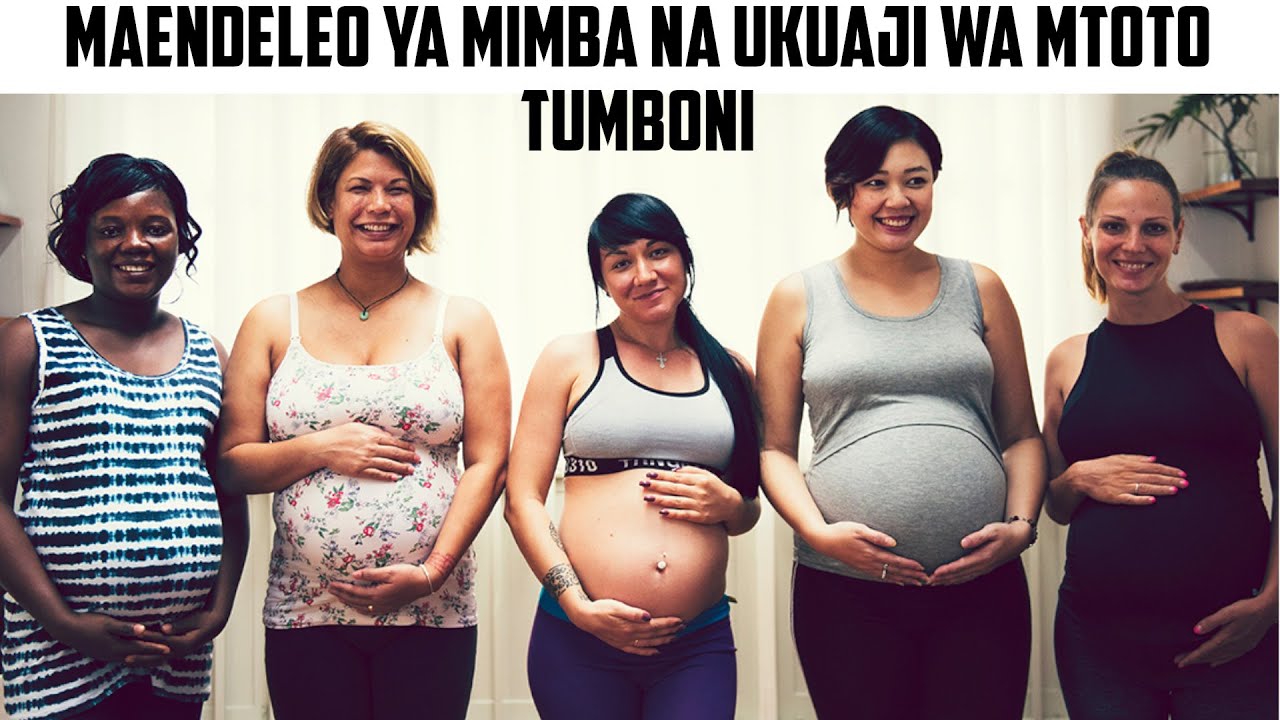 MAENDELEO YA MIMBA NA UKUAJI WA MTOTO TUMBONI KWA MIEZI TISA YA