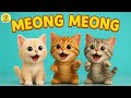 Lagu Anak Anak ANAK KUCING MEONG MEONG Lagu Anak Balita Viral Terbaru 