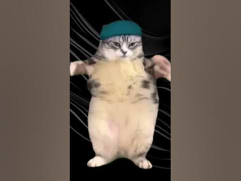 кот жоско флексит #shorts - YouTube