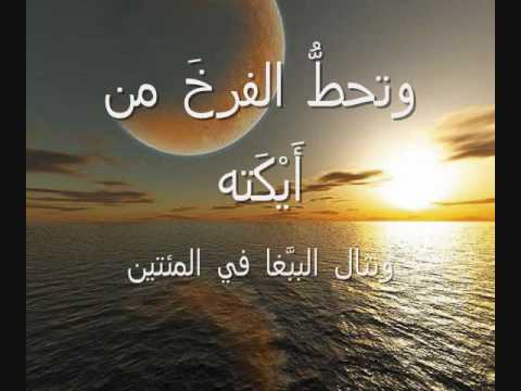 أحمد شوقي يرثي والده