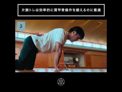 片腕だからこそ肩甲骨操作を鍛えるのに最適