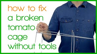 How to Fix a Broken Tomato Cage Without Tools