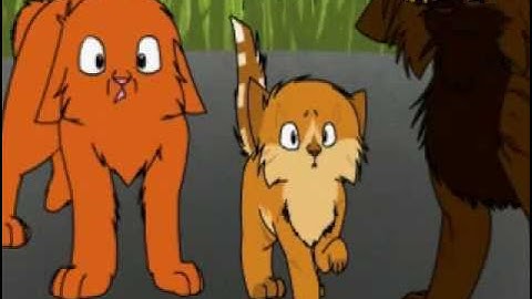 Cinderpelt AMV: NEVER TO BE FINISHED