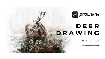 Nature drawing | Deer | Procreate | Time-lapse
