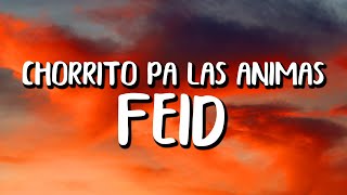 Feid - Chorrito Pa Las Animas (Letra/Lyrics)