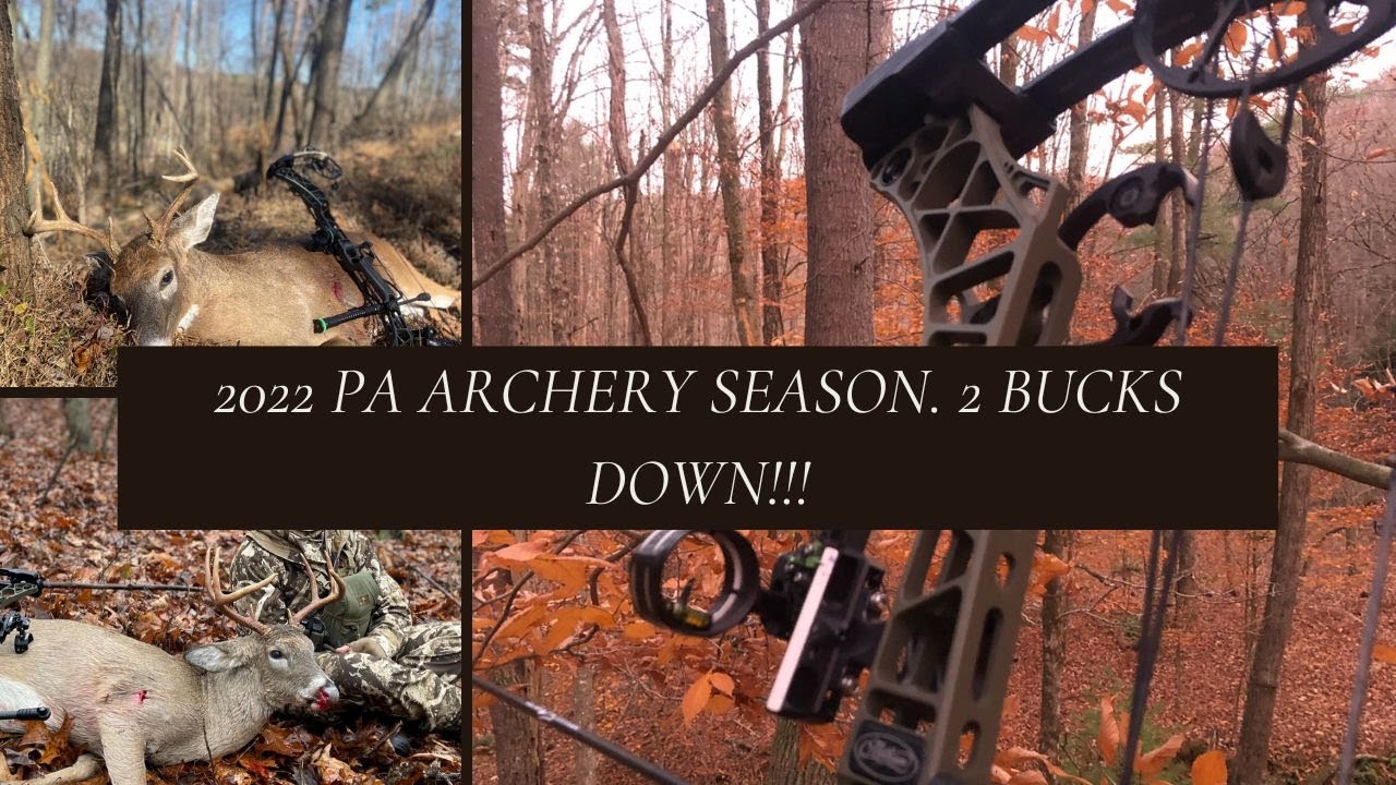 2022 PA Archery Season. Rut Action!! 2 Bucks DOWN!!! YouTube