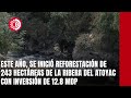 Este año, se inició reforestación de 243 hectáreas de la ribera del Atoyac con inversión de 12.8 mdp