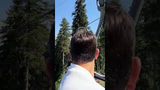 Clever Mountain Dog Rides Cable Car Alone Up Hatzval Mountain