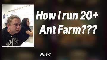 20+ emulator? No problem. Here