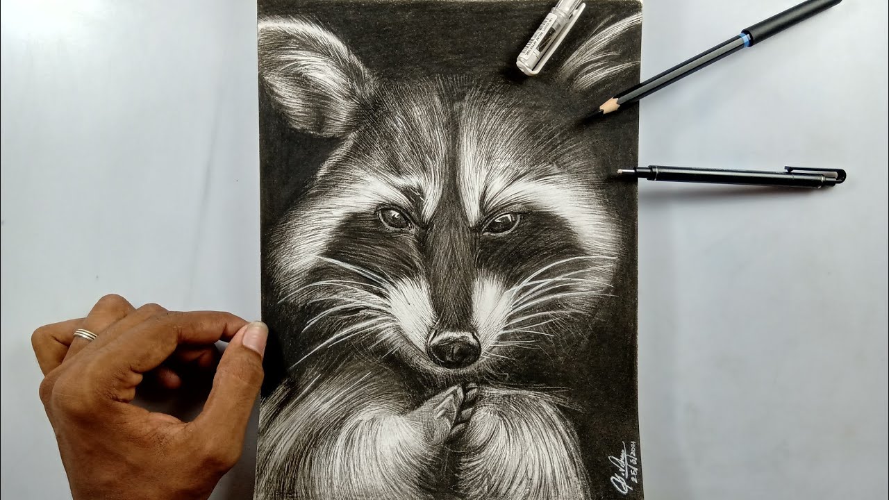 Drawing a Raccoon Dog | 