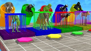Cartoon Cow Elephant Dinosaur Buffalo Max Level Long Legs Crossing Fountain Rescue Animals Games