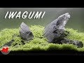Iwagumi Aquascaping aquarium 60l