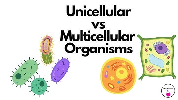Unicellular vs Multicellular Organisms