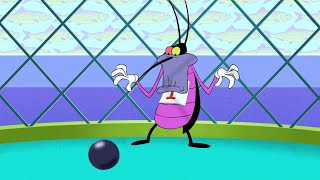 Oggy and the Cockroaches - Sport Fans (s04e26) Full Episode in HD