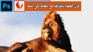 Photoshop |عزل الخلفية مع الحفاظ على جودة الشعر