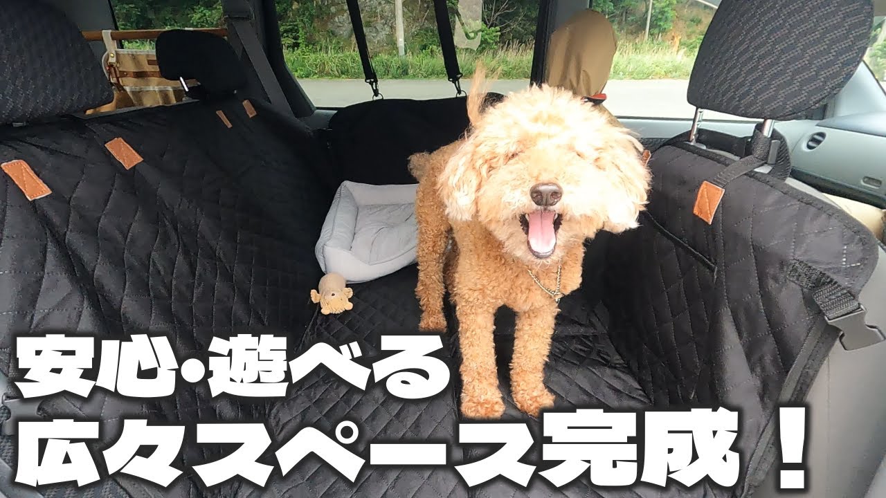 【シエンタ】犬連れ旅が100倍楽しくなる！取付簡単ペット用ドライブシート