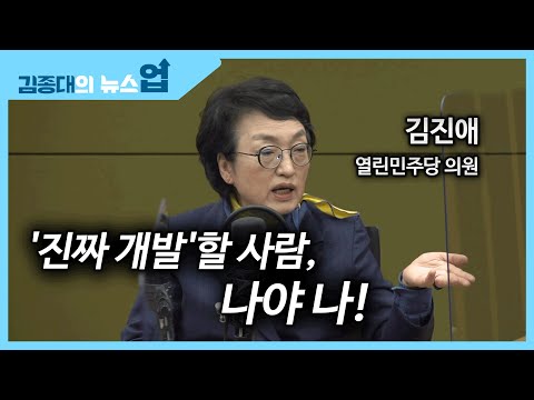 김진애 &amp;quot;박영선 서울시장 되면 文정부의 약점될 것&amp;quot;