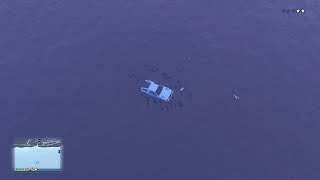 Grand Theft Auto Online- Unknown Crash? - 25,000 Find