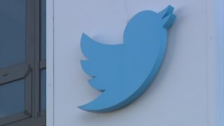 Twitter layoffs affect dozens of Coloradans
