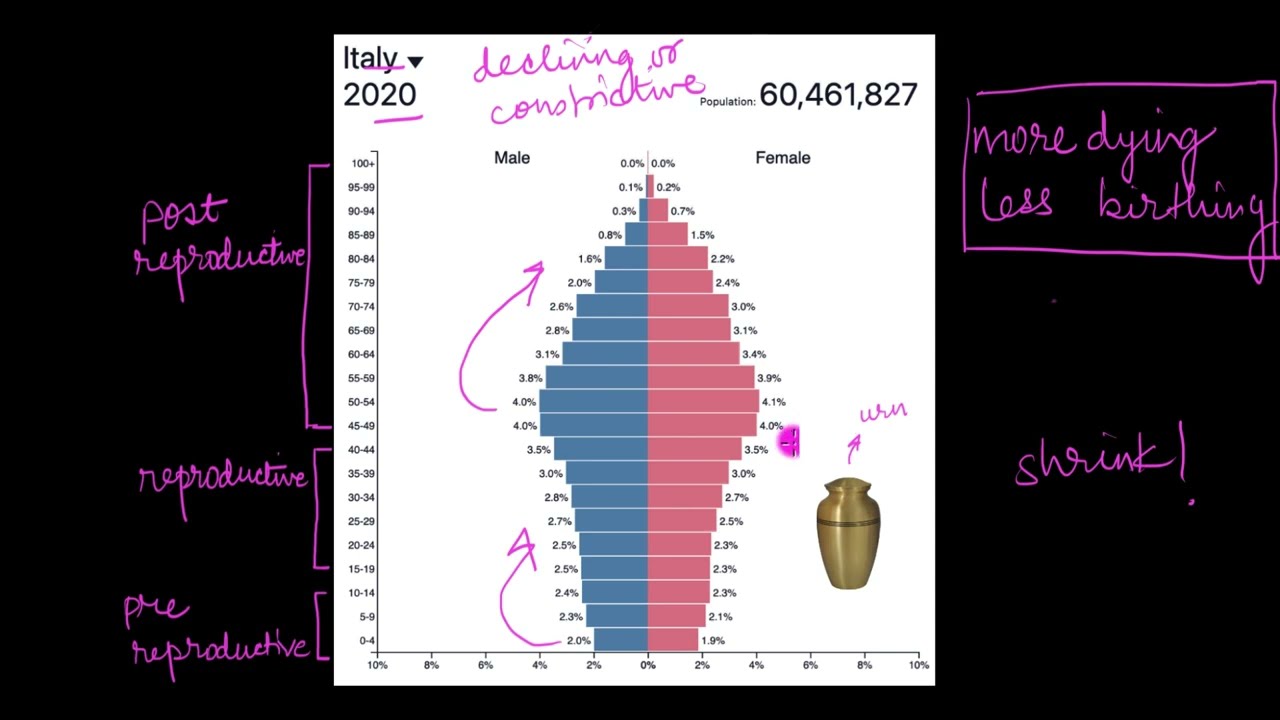 ⁣Age pyramids | Organisms and Populations | Biology | Khan Academy