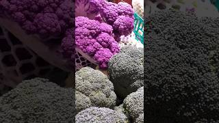 #market #cauliflower purple,yellow,orange #kembang kol ungu,kuning, oranye #market #cauliflower purple,yellow,orange #kembang kol ungu,kuning, oranye