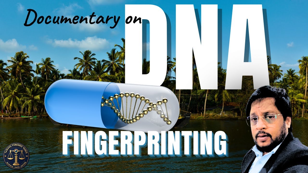 Forensic DNA Fingerprinting Explained | Crime Solved by Genes ...