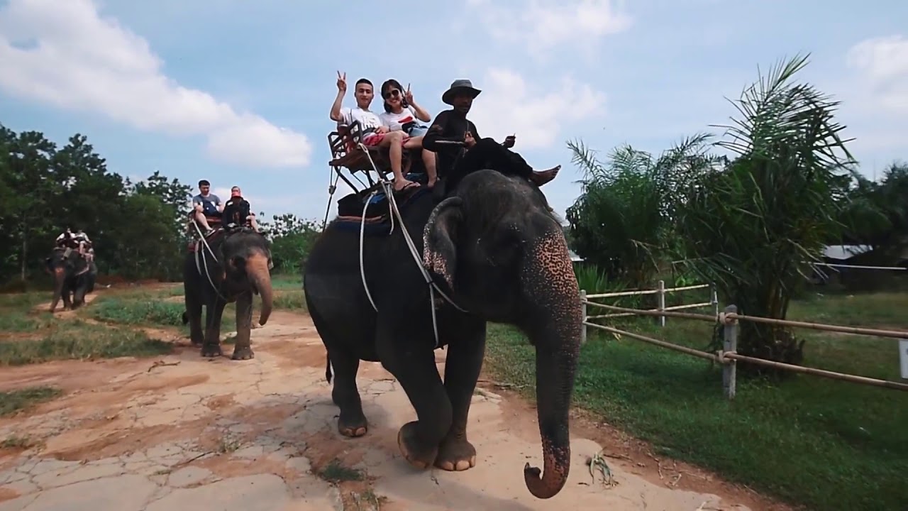 象乗り Kinnaree Elephant Trekking Phuket 1 Youtube